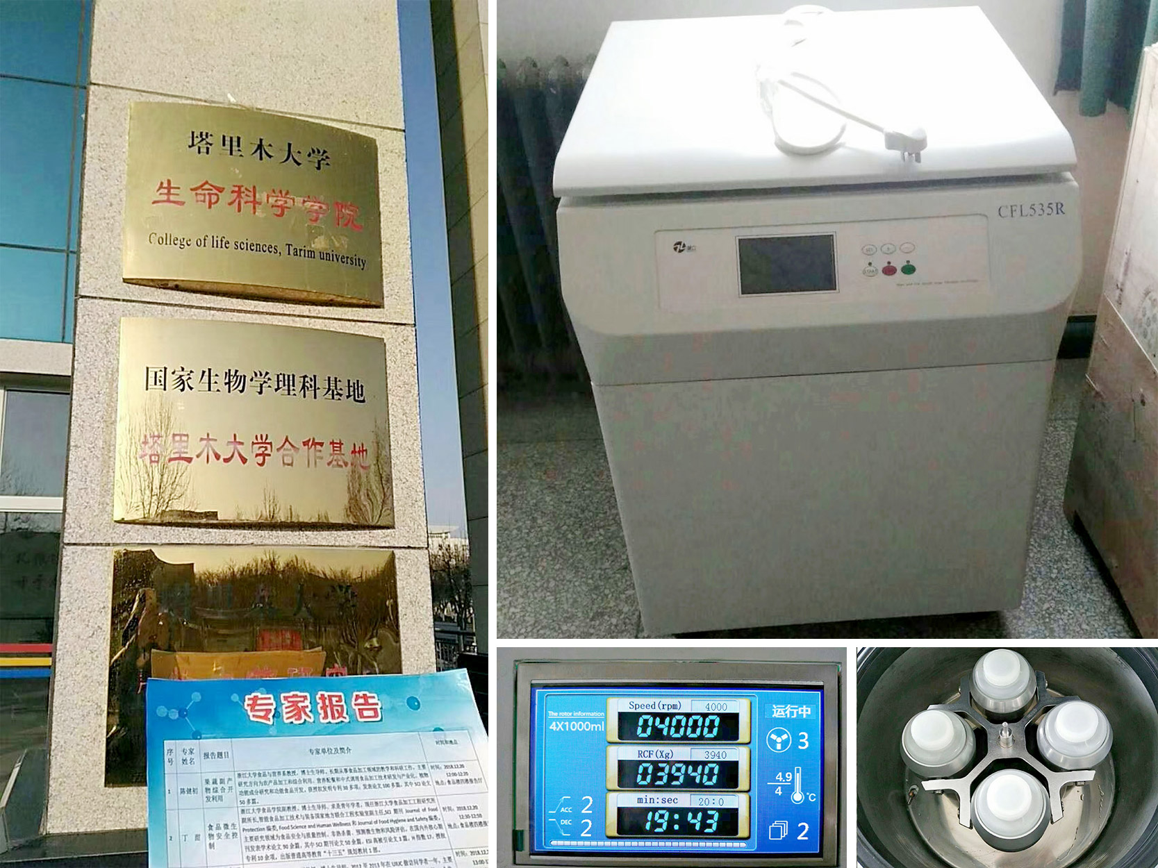 新疆塔里木大學